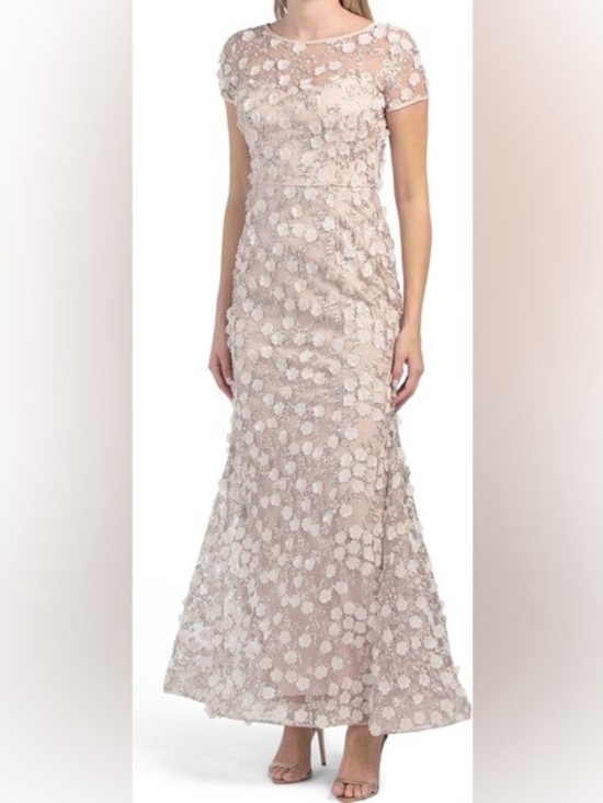 Xscape Dresses & Skirts - XScape Elegant Lace Floral Maxi Dress in Blush Size 8
